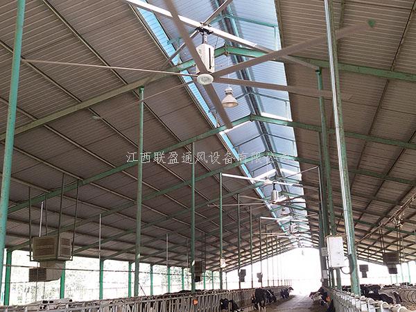 大型工业吊扇,工业大风扇,大型工业风扇