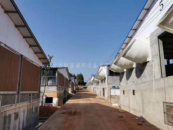 水帘风机降温系统,湿帘,负压风机